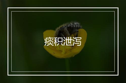 痰积泄泻