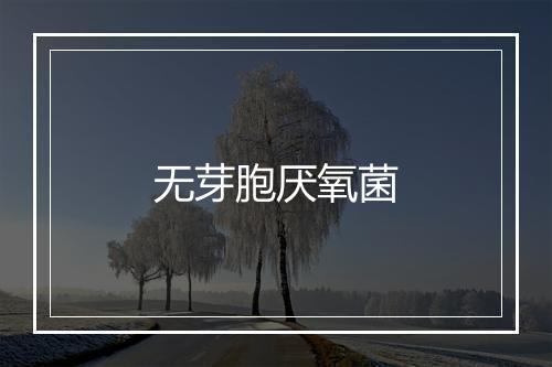 无芽胞厌氧菌