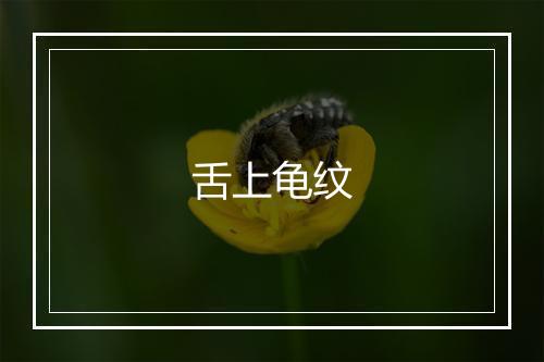 舌上龟纹