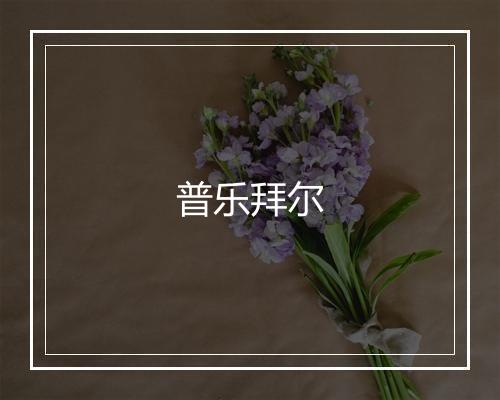 普乐拜尔