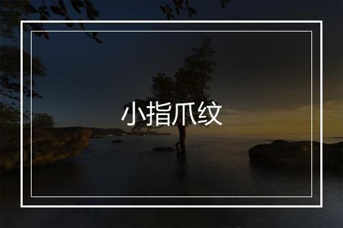 小指爪纹