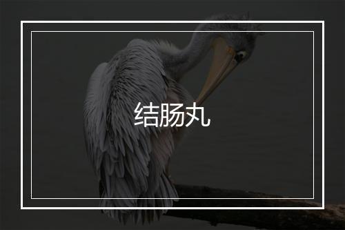 结肠丸