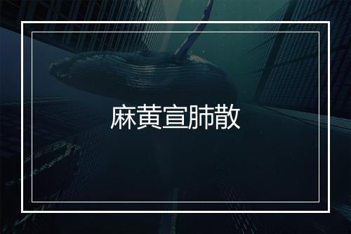 麻黄宣肺散