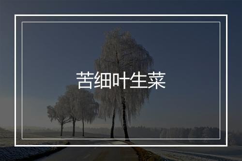 苦细叶生菜