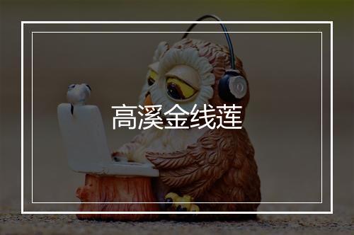 高溪金线莲