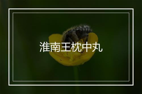 淮南王枕中丸