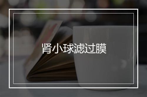 肾小球滤过膜