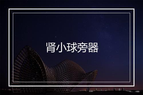 肾小球旁器