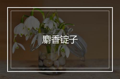 麝香锭子