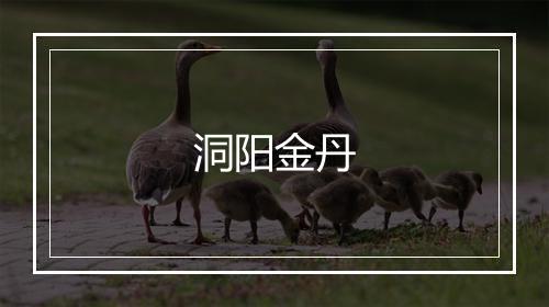 洞阳金丹