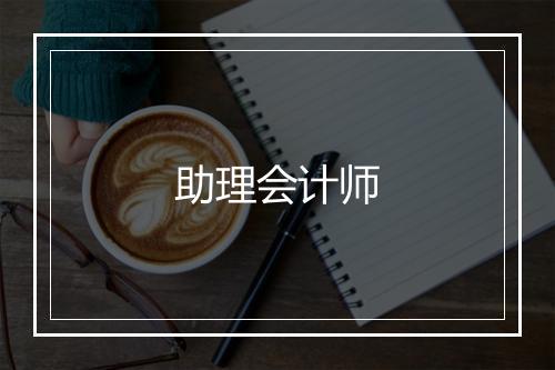 助理会计师