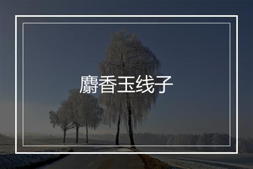 麝香玉线子