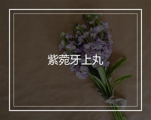 紫菀牙上丸