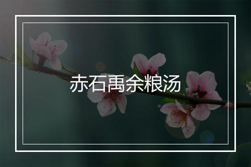 赤石禹余粮汤