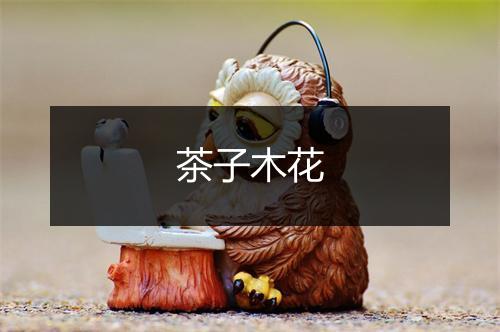 茶子木花