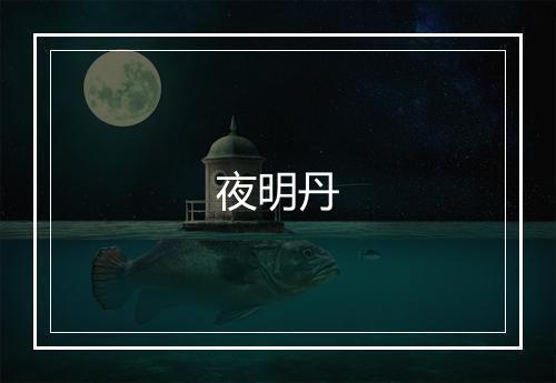 夜明丹