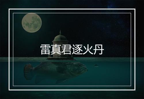 雷真君逐火丹