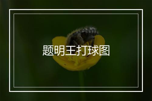 题明王打球图