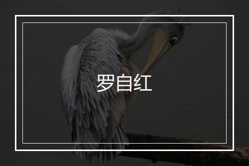 罗自红