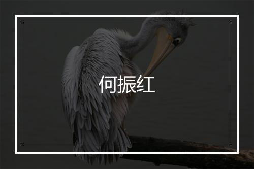 何振红