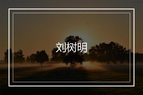 刘树明