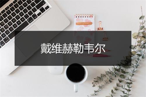 戴维赫勒韦尔