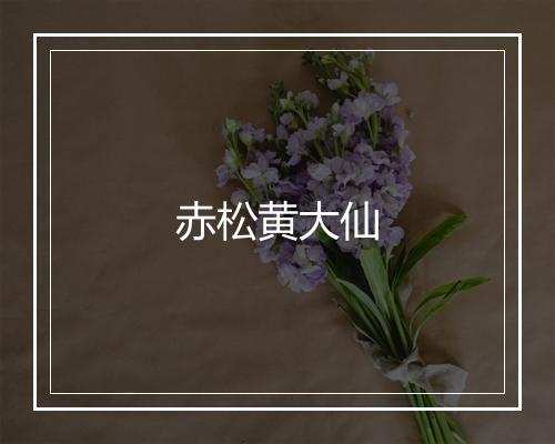 赤松黄大仙