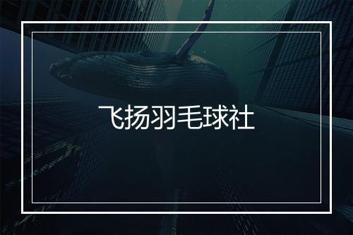 飞扬羽毛球社