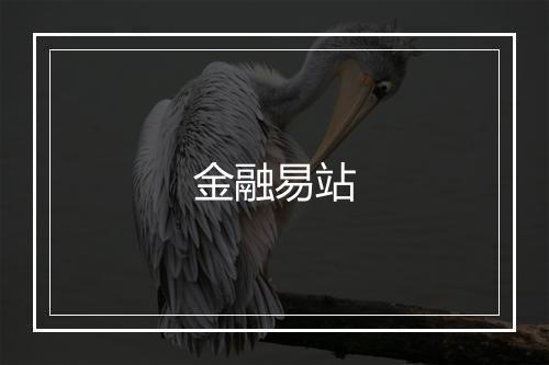 金融易站