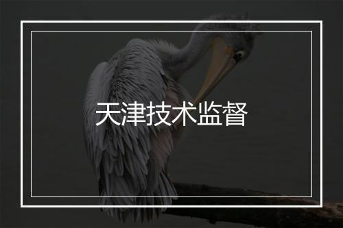 天津技术监督