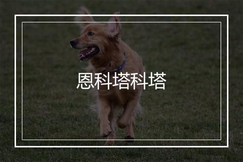 恩科塔科塔