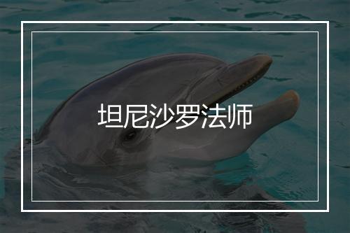 坦尼沙罗法师