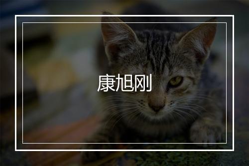 康旭刚