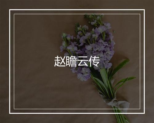 赵瞻云传