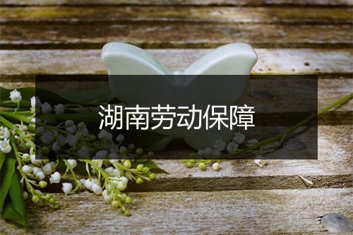 湖南劳动保障