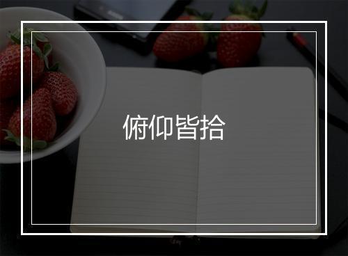 俯仰皆拾