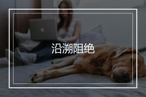 沿溯阻绝