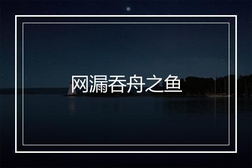 网漏吞舟之鱼