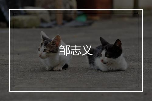 邹志义