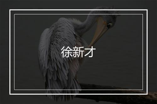 徐新才