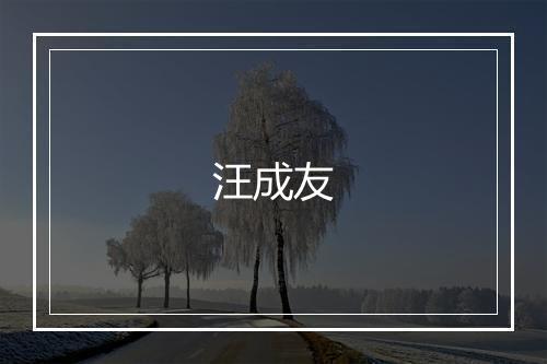 汪成友