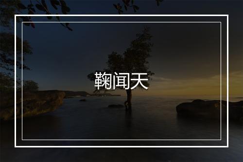 鞠闻天