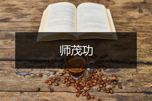 师茂功