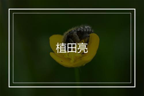 植田亮