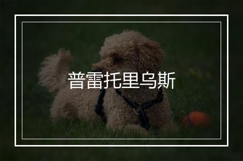 普雷托里乌斯