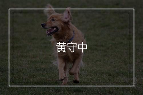 黄守中