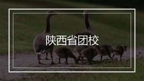 陕西省团校