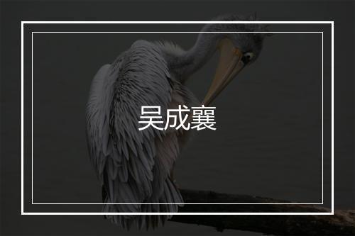 吴成襄