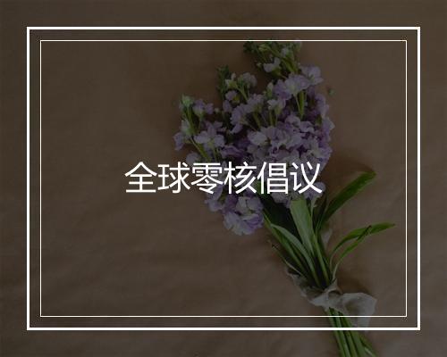 全球零核倡议