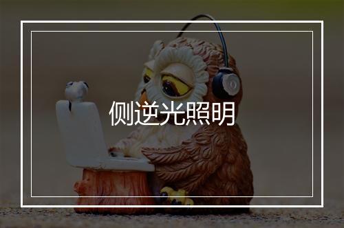 侧逆光照明